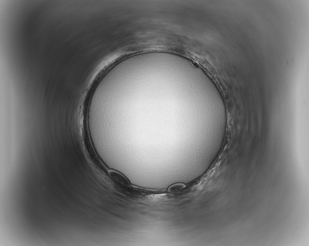 X0000096640054200802261307