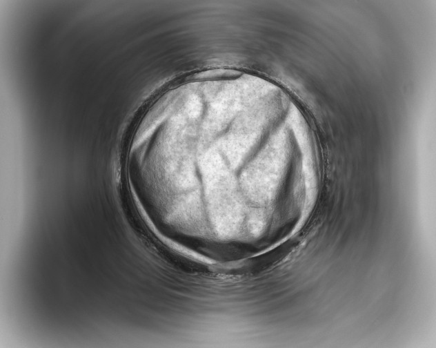 X0000096640060200802261307