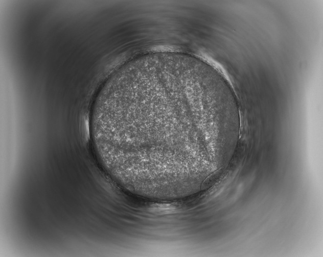 X0000096640061200802261307