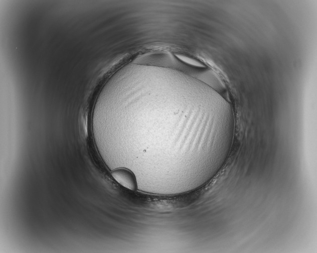 X0000096640062200802261307