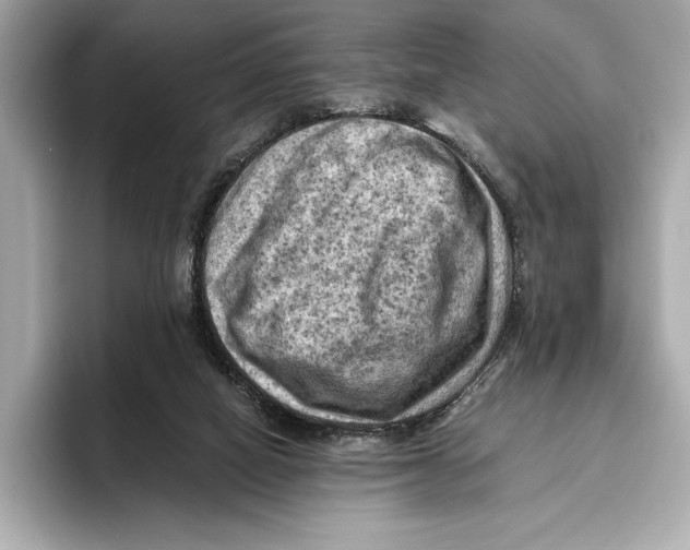 X0000096640066200802261307