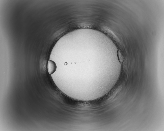 X0000096640071200802261307