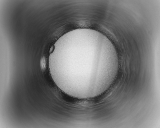 X0000096640075200802261307