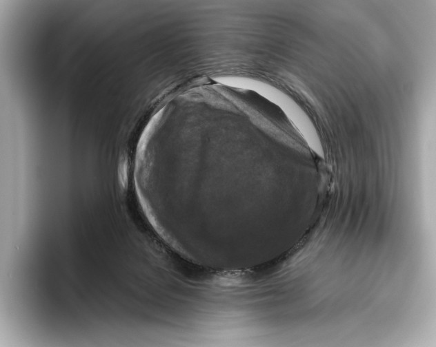 X0000096640076200802261307