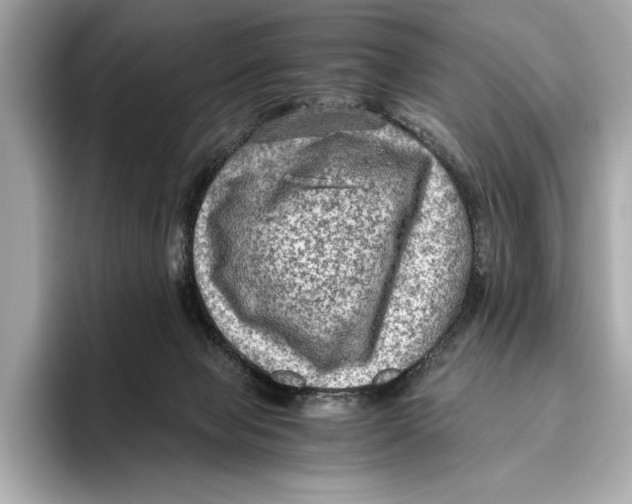 X0000096640077200802261307