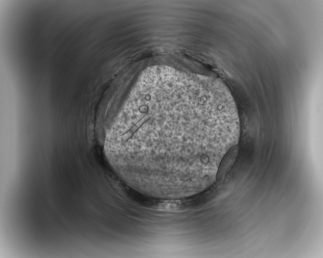 X0000096640080200802261307