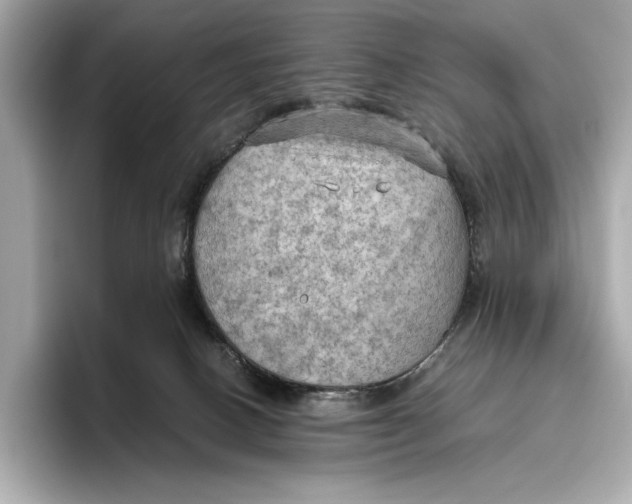 X0000096640082200802261308