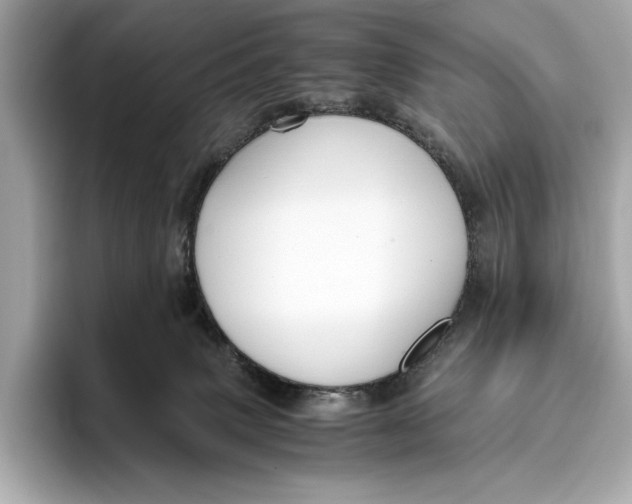 X0000096640083200802261308