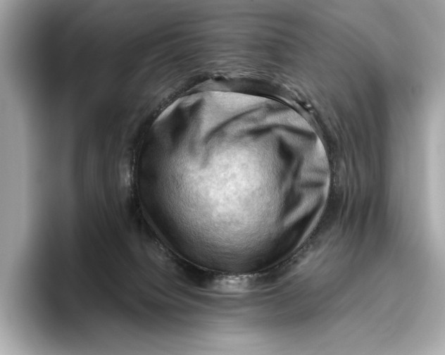 X0000096640084200802261308