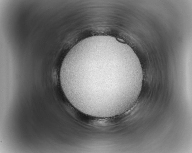 X0000096640086200802261308