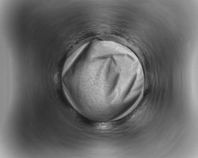 X0000096640088200802261308