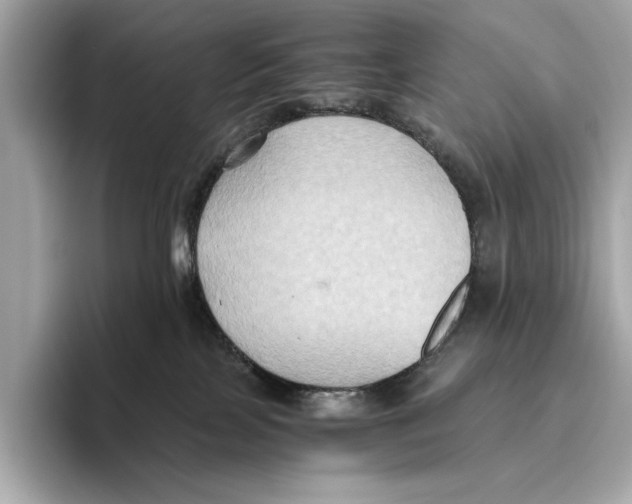 X0000096640089200802261308