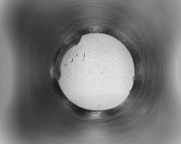 X0000096640090200802261308