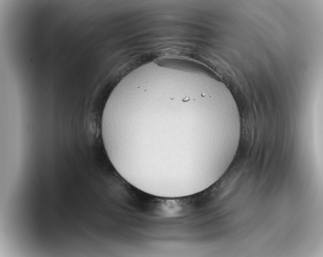 X0000096640091200802261308