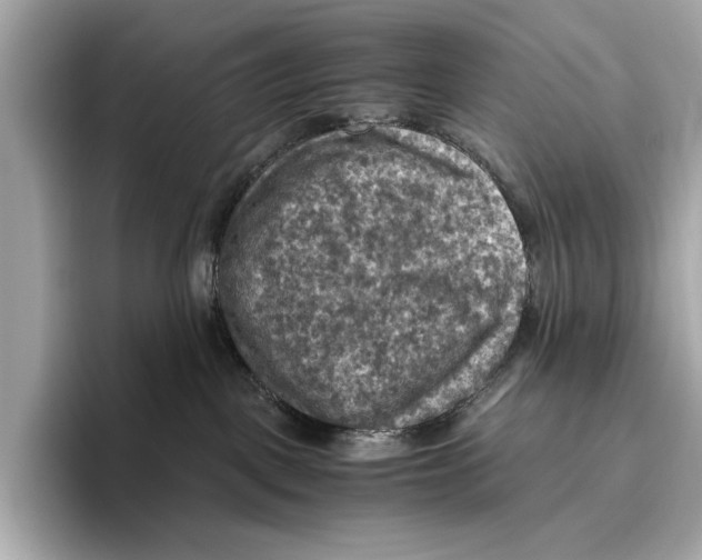 X0000096640093200802261308