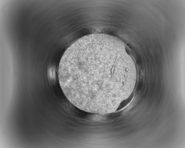 X0000096640094200802261308