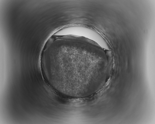 X0000096640100200802261307