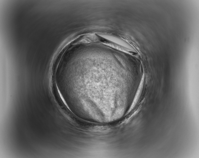 X0000096640101200802261307