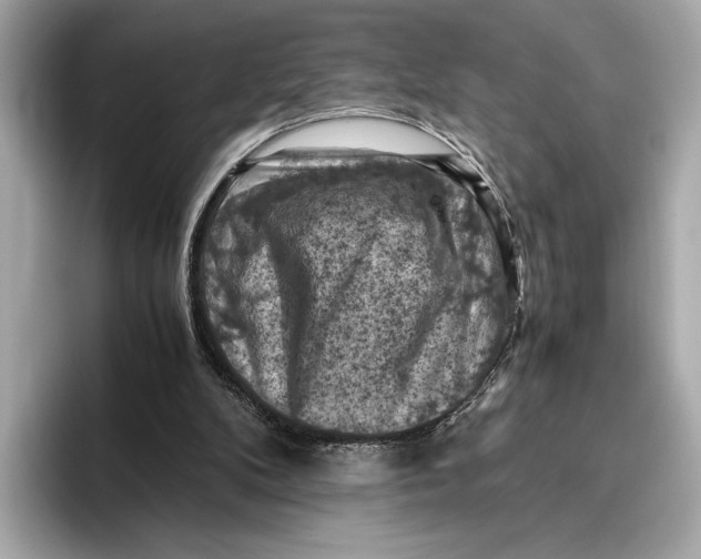 X0000096640104200802261307