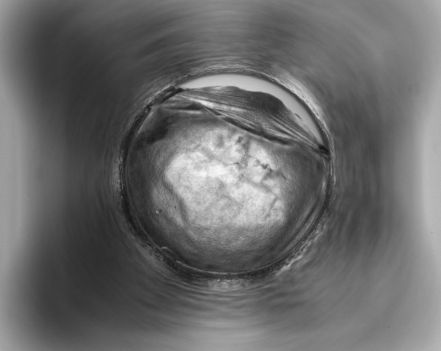 X0000096640105200802261307