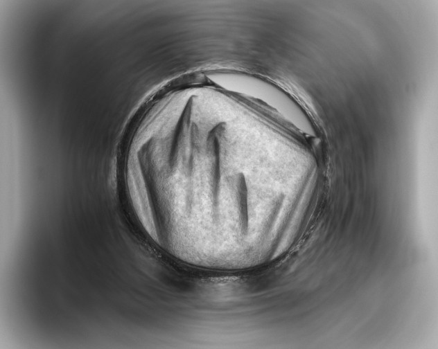 X0000096640108200802261307