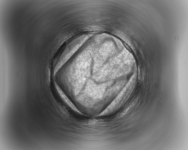 X0000096640109200802261307