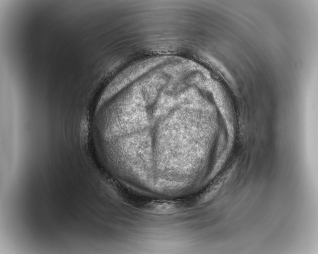 X0000096640113200802261307