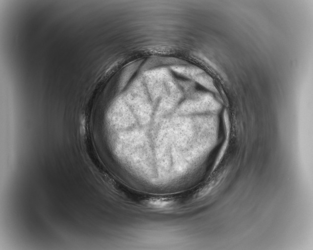 X0000096640117200802261307