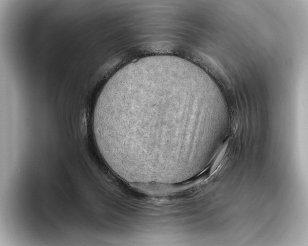 X0000096640120200802261307