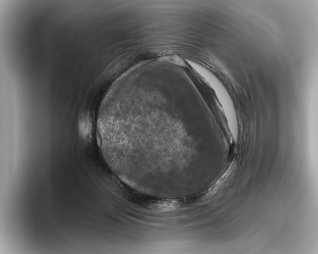 X0000096640124200802261307