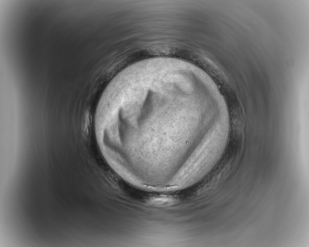 X0000096640125200802261307