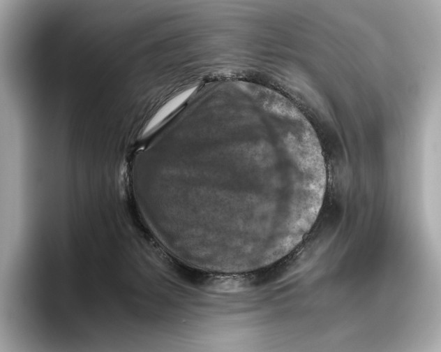 X0000096640127200802261307