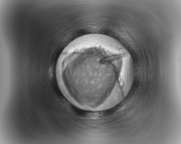 X0000096640131200802261306