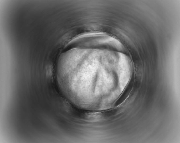 X0000096640132200802261306