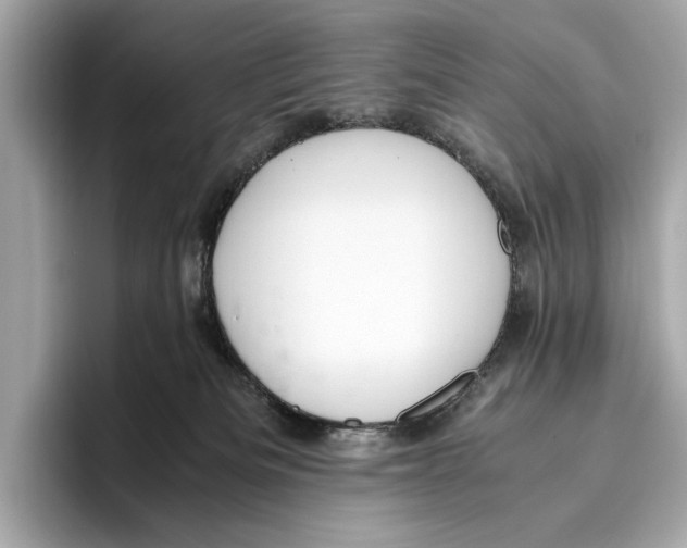 X0000096640133200802261306