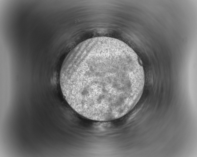 X0000096640135200802261306