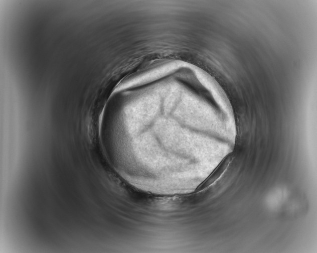 X0000096640136200802261306