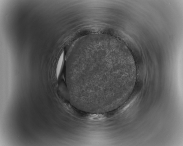 X0000096640137200802261306