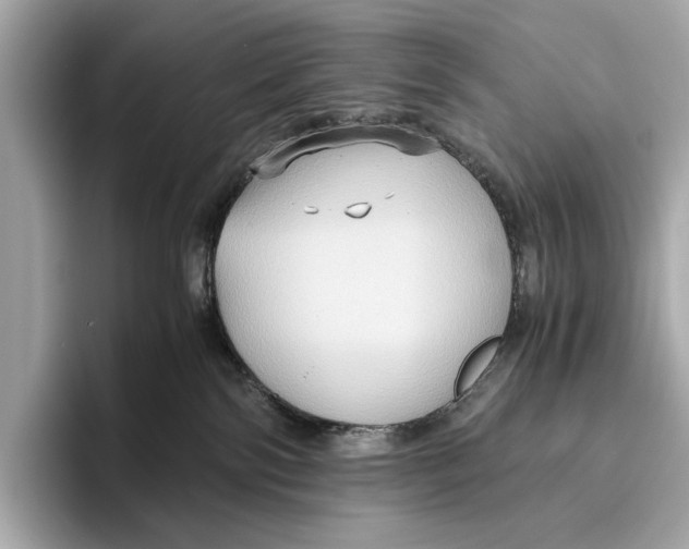 X0000096640138200802261306