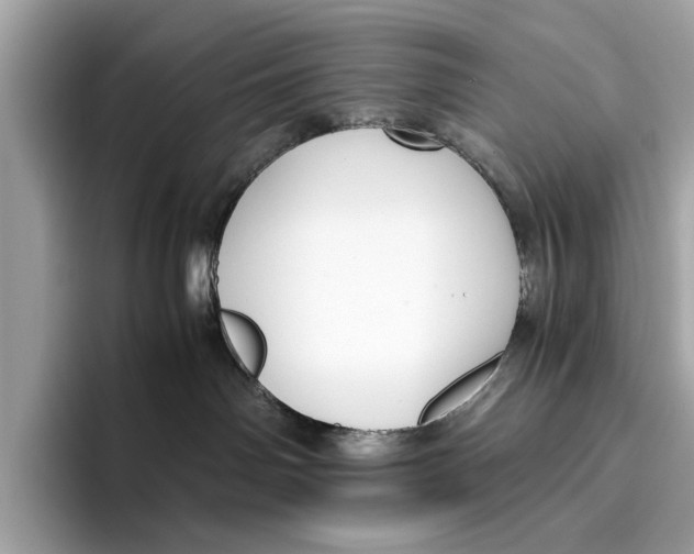 X0000096640142200802261306