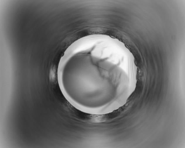 X0000096640143200802261306