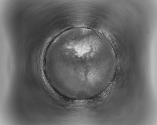 X0000096640145200802261306