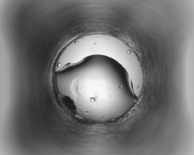 X0000096640146200802261306