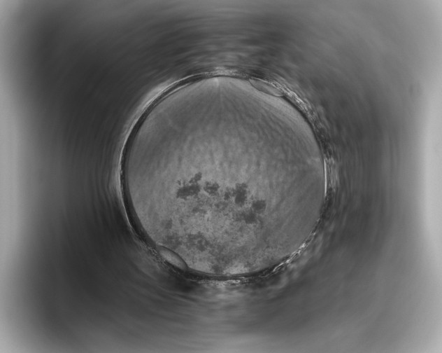 X0000096640147200802261306