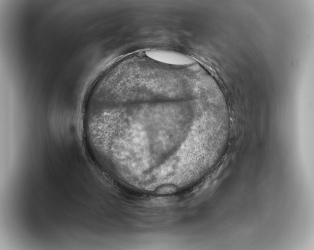 X0000096640149200802261306