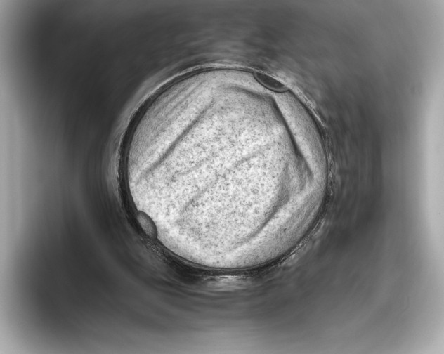 X0000096640151200802261306