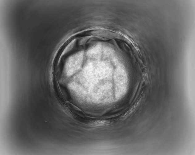 X0000096640152200802261306