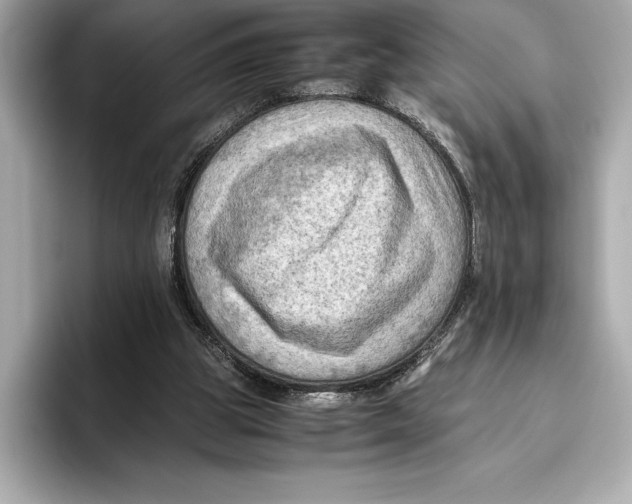 X0000096640153200802261306