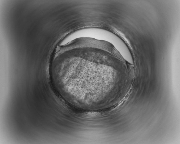 X0000096640154200802261306