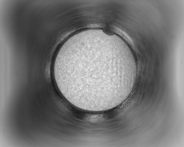 X0000096640155200802261306